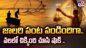 జాలరి పంట పండిందిగా.. వలలో చిక్కింది చూసి షాక్ జాలరి పంట పండిందిగా.. వలలో చిక్కింది చూసి షాక్
