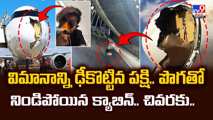విమానాన్ని ఢీకొట్టిన పక్షి.. పొగతో నిండిపోయిన క్యాబిన్.. చివరకు.. విమానాన్ని ఢీకొట్టిన పక్షి.. పొగతో నిండిపోయిన క్యాబిన్.. చివరకు..