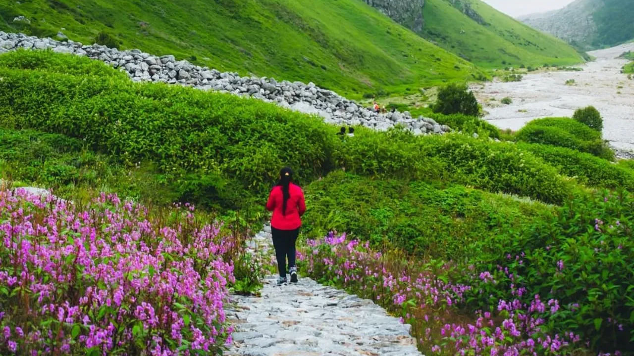 Flowers Valley