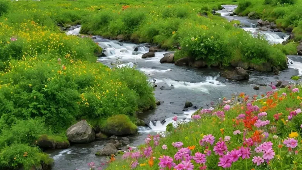 Flowers Valley