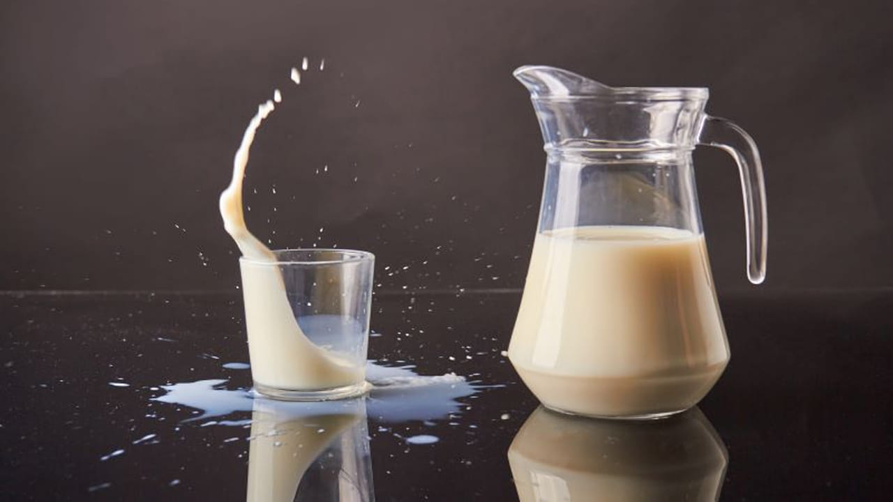 పాలు ఆరోగ్యానికి ఎంతో పోషకమైనవి. పాలలో ప్రోటీన్, కాల్షియం, విటమిన్లు, భాస్వరం, మెగ్నీషియం ,అయోడిన్ వంటి పోషకాలు పుష్కలంగా ఉంటాయి. అయితే పాలు ఆరోగ్యకరమైనవి అయినప్పటికీ కొన్ని ఆహారాలతో కలిపి తీసుకుంటే అది మీ ఆరోగ్యానికి హానికరమని నిపుణులు హెచ్చరిస్తున్నారు. అవేంటో ఇక్కడ తెలుసుకుందాం..