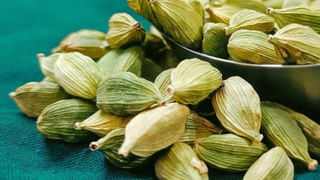 700 ఏళ్ల చరిత్ర ఉన్న అద్భుతమైన దేవాలయం.. మౌంట్ బ్రోమో గణపతి విగ్రహ రహస్యం మీకోసం..!