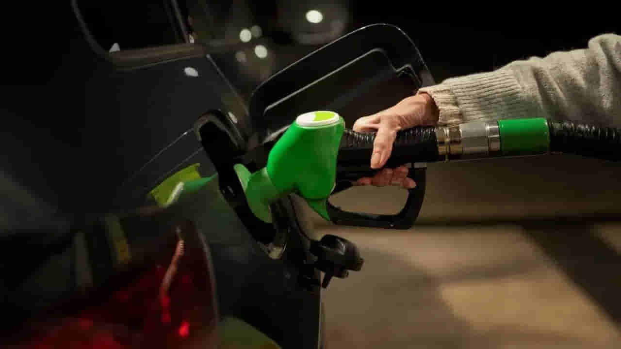 Fuel Efficiency: E20 పెట్రోల్తో మైలేజ్ తగ్గుతుందా? ఇంధనంపై కీలక నివేదిక