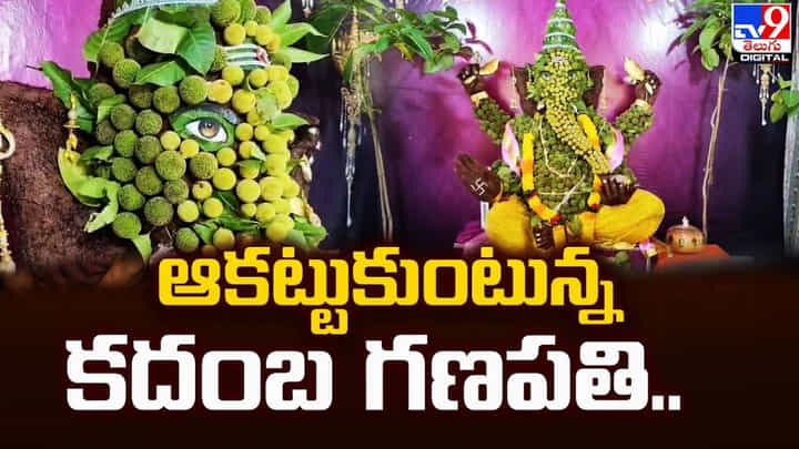 ఆకట్టుకుంటున్న కదంబ పుష్పాల గణపతి ఆకట్టుకుంటున్న కదంబ పుష్పాల గణపతి