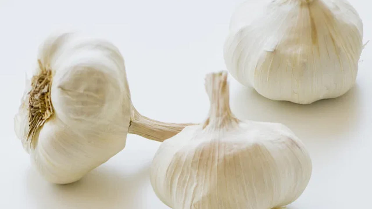 ఇన్ఫెక్షన్ రాకుండా కాపాడుతుంది : ఒక సంవత్సరంలో మూడు సీజన్లు ఉంటాయి. ప్రతి సీజన్లో వివిధ రకాల ఇన్ఫెక్షన్లు వ్యాపిస్తాయి. ఈ రకమైన ఇన్ఫెక్షన్లన్నింటినీ నివారించడంలో వెల్లుల్లి సహాయపడుతుంది. మీరు మీ రోజువారీ ఆహారంలో వెల్లుల్లిని చేర్చుకుంటే మీ రోగనిరోధక శక్తి చాలా బలంగా తయారవుతుంది. అంతేకాదు సీజనల్ వ్యాధులకి దూరంగా ఉంటారు.