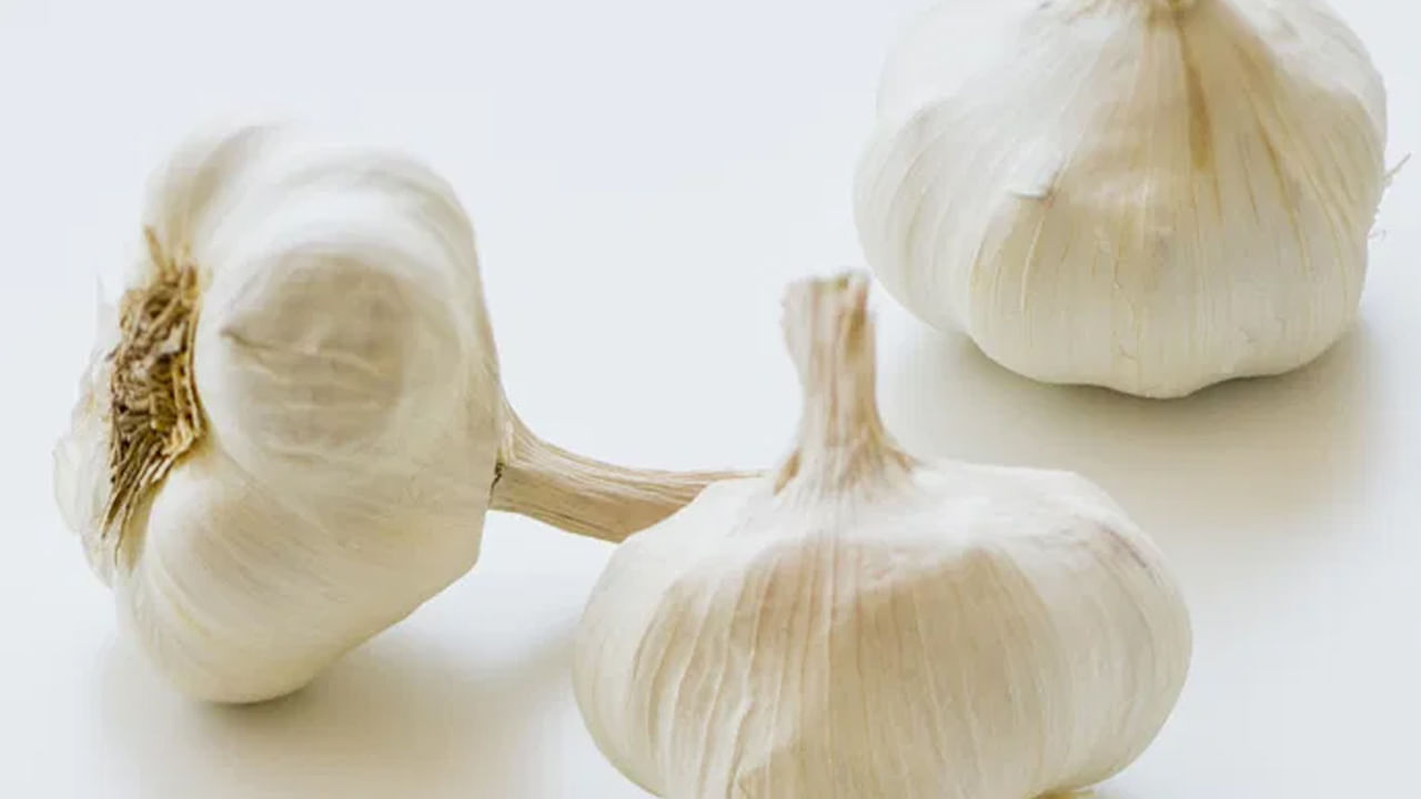 ఇన్ఫెక్షన్ రాకుండా కాపాడుతుంది : ఒక సంవత్సరంలో మూడు సీజన్లు ఉంటాయి. ప్రతి సీజన్లో వివిధ రకాల ఇన్ఫెక్షన్లు వ్యాపిస్తాయి. ఈ రకమైన ఇన్ఫెక్షన్లన్నింటినీ నివారించడంలో వెల్లుల్లి సహాయపడుతుంది. మీరు మీ రోజువారీ ఆహారంలో వెల్లుల్లిని చేర్చుకుంటే మీ రోగనిరోధక శక్తి చాలా బలంగా తయారవుతుంది. అంతేకాదు సీజనల్ వ్యాధులకి దూరంగా ఉంటారు.