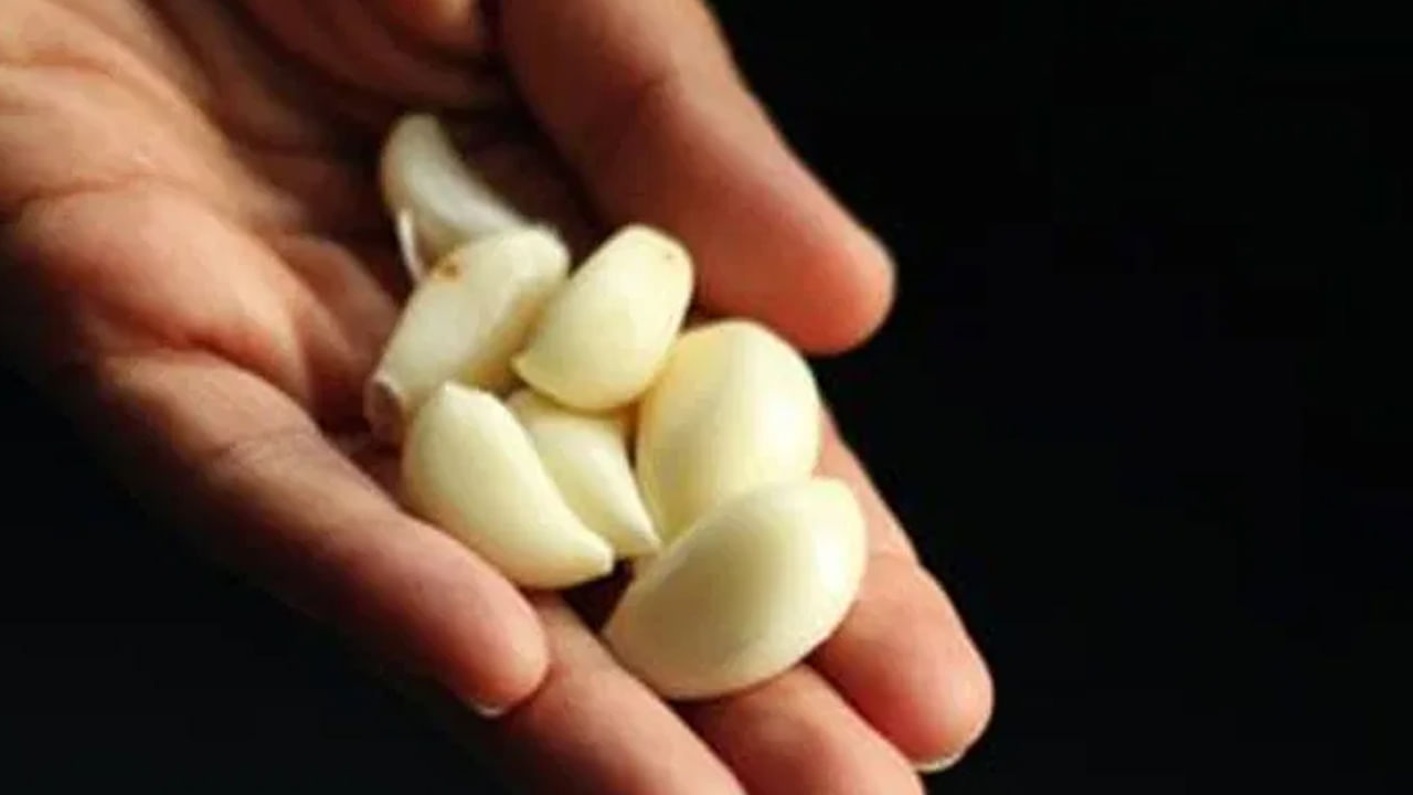 వెల్లుల్లి శరీరాన్ని శుభ్రపరుస్తుందని అంటారు. వెల్లుల్లిలోని సల్ఫర్ సమ్మేళనాలు కాలేయాన్ని నిర్విషీకరణ చేసే ఎంజైమ్‌లను సక్రియం చేయడంలో సహాయపడతాయి. ఇది రక్తం నుండి సీసం వంటి భారీ లోహాలను తొలగించడం ద్వారా మన శరీరాన్ని శుభ్రపరుస్తుంది. పేగు ఆరోగ్యాన్ని మెరుగుపరుస్తుంది. వెల్లుల్లి జీర్ణక్రియకు చాలా మంచిది. పచ్చి వెల్లుల్లిలో ప్రీబయోటిక్ లక్షణాలు ఉంటాయి. ఇవి పేగులోని మంచి బ్యాక్టీరియాను పోషిస్తాయి. 