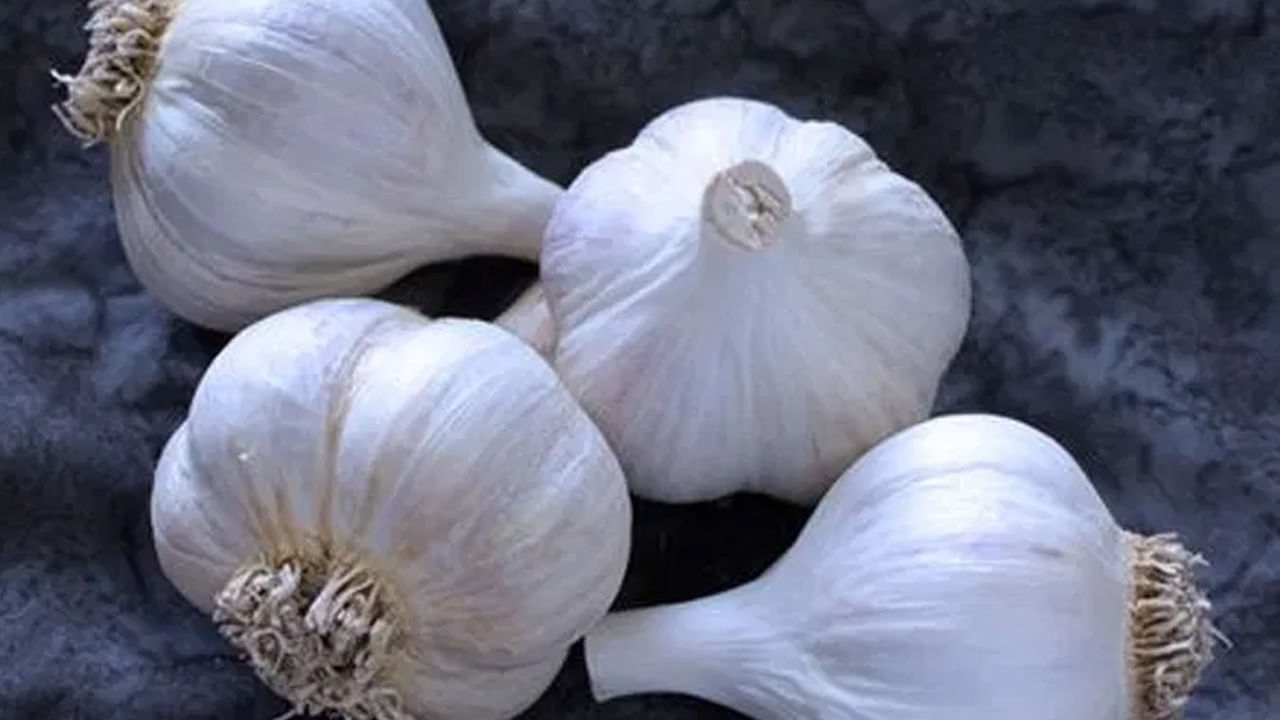 మొటిమలని నివారిస్తుంది : మొటిమలు, కురుపుల సమస్యలు ఉన్నవారు ఆహారంలో వెల్లుల్లిని చేర్చుకోవడం వల్ల చాలా ప్రయోజనాలు పొందుతారు. వెల్లుల్లిలో అద్భుతమైన ఔషధ గుణాలు ఉంటాయి. ఇవి ముఖంపై ఏర్పడిన నల్లటి మచ్చలను తొలగించడానికి సహాయపడుతాయి.