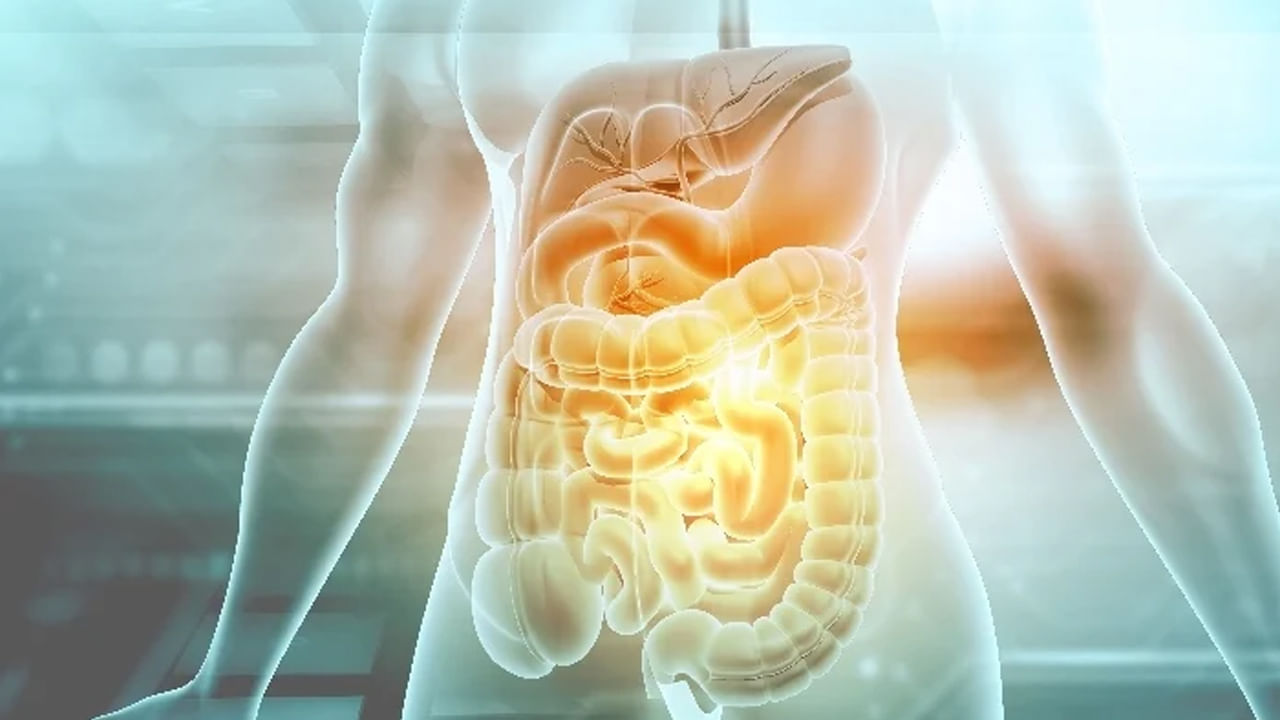 గుండెల్లో మంటను తగ్గించుకోవడానికి చాలా మంది ఎక్కువగా మందులను వాడుతుంటారు. కానీ వాటి కంటే ఇంటిలోనే కొన్ని టిప్స్ పాటించడం వలన సహజంగానే ఈ సమస్య నుంచి బయటపడవచ్చు అంటున్నారు, యూఎస్ గ్యాస్ట్రోఎంటరాలజిస్ట్ డాక్టర్ జోసెఫ్ సల్హాబ్. కాగా, ఆయన చెప్పిన ఏడు సహజమైన టిప్స్ ఏవో ఇప్పుడు చూద్దాం.