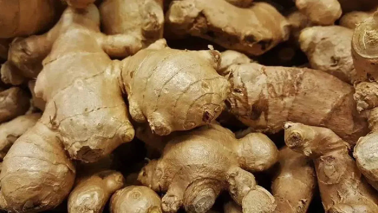 అల్లం రసం నేరుగా తలకు రాస్తే కొంతమందికి చికాకు లేదా మంట కలగవచ్చు. కాబట్టి, ఏదైనా కొత్త చిట్కాను పాటించే ముందు తక్కువ పరిమాణంలో అప్లై చేసి పరీక్షించుకోవడం మంచిది. అలాగే, జుట్టుకు సంబంధించిన తీవ్రమైన సమస్యలు ఉంటే నిపుణుడిని సంప్రదించడం ఉత్తమం.