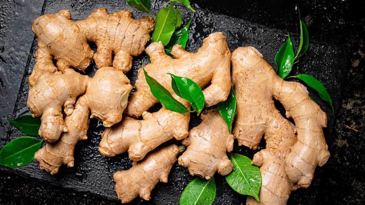 Ginger On Floor
