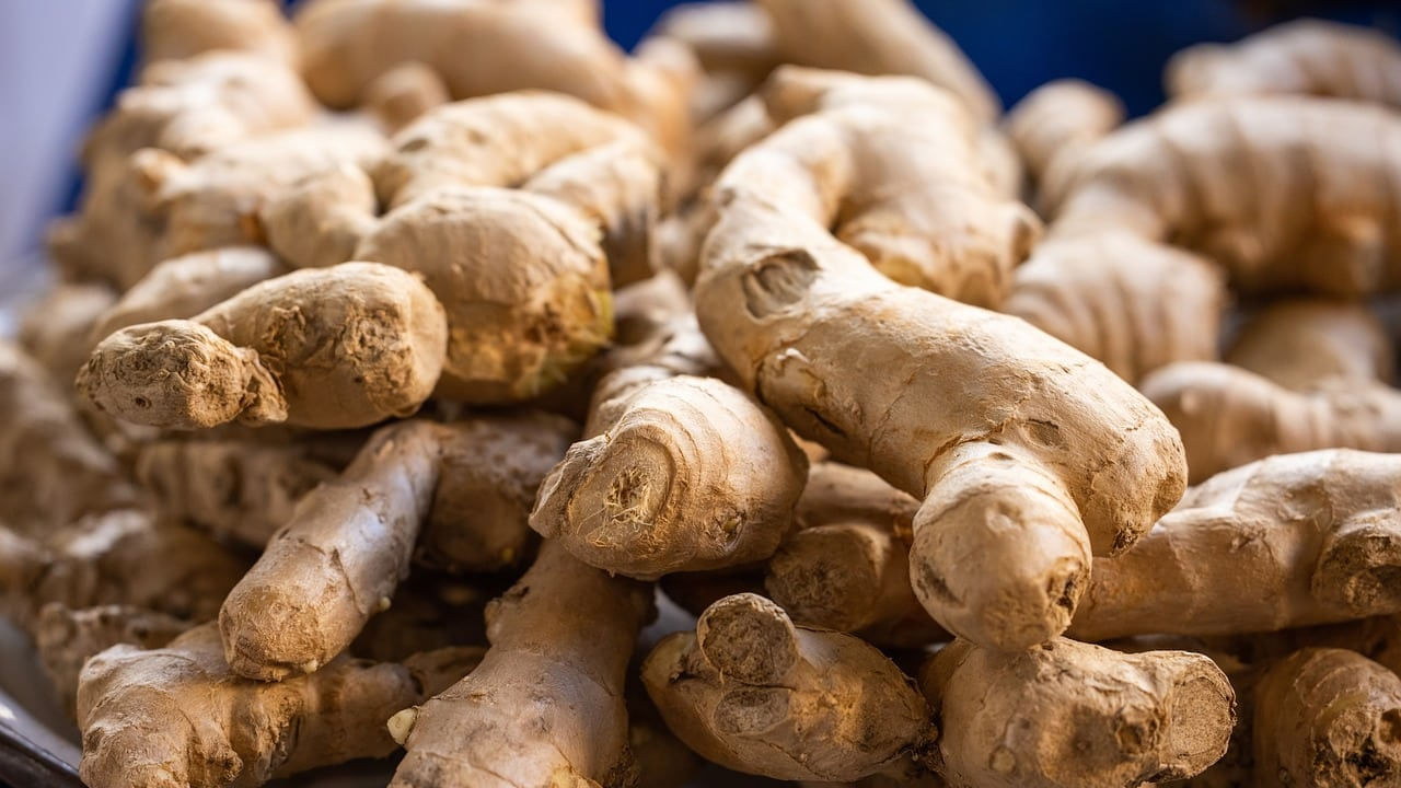 Ginger On Table