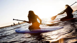 Viral Video: లిఫ్ట్‌ దగ్గర వేచి ఉన్న మహిళపై కుక్క ఎలా దాడి చేసిందో చూడండి.. వీడియో వైరల్‌!