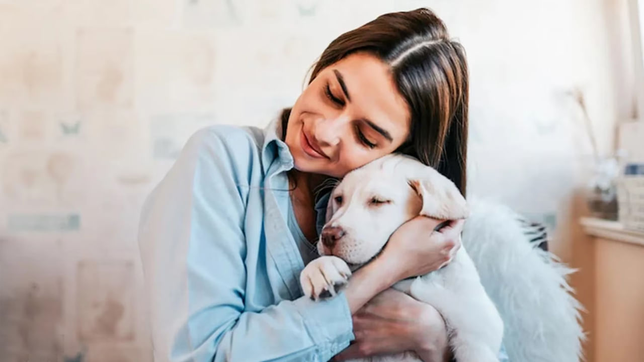 కుక్కల లాలాజలం, చర్యల ద్వారా కూడా అవి దూకుడుగా ఉన్నాయని కొన్ని సంకేతాలు ఇస్తాయి. కుక్కలు చాలా ఒత్తిడికి గురైతే అవి దూకుడుగా ప్రవర్తిస్తాయి.