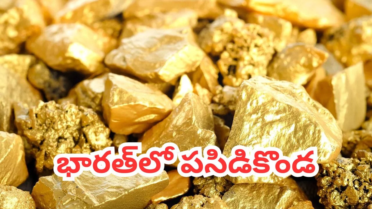 Gold Mines: భారత్లో బయటపడ్డ బంగారు కొండ.. 100 హెక్టార్లలో భారీగా పసిడి నిల్వలు..! ఎక్కడంటే