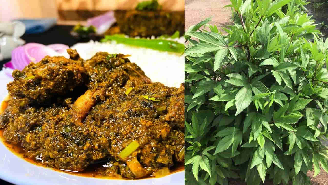 వారెవ్వా.. గోంగూరతో మన శరీరానికి ఇన్ని లాభాలా.. మరి ఇంకెందుకు ఆలస్యం!