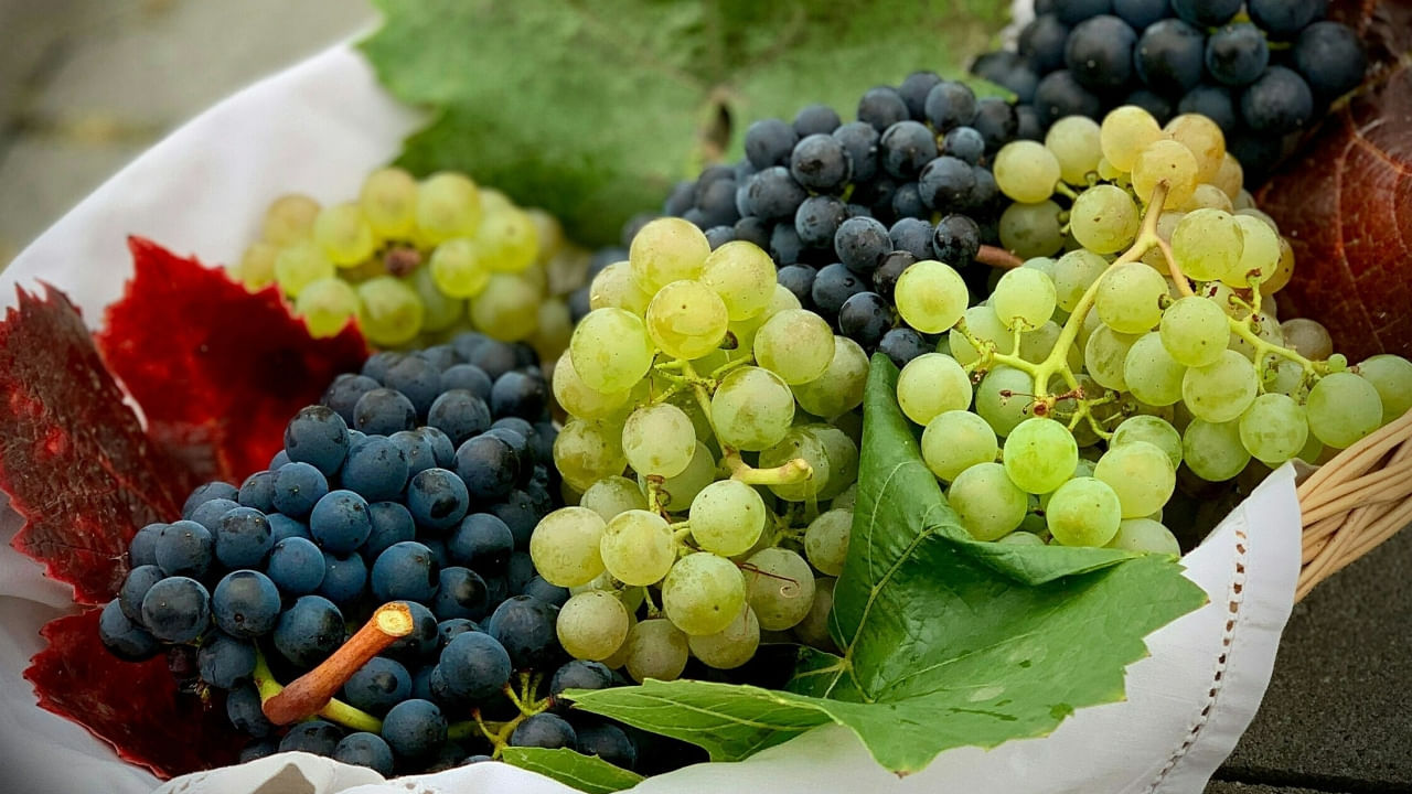 Grapes