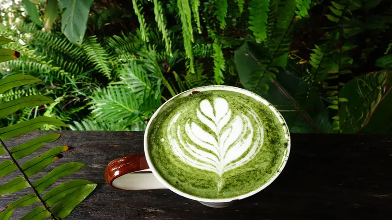 గ్రీన్ కాఫీ తాగడం వల్ల శరీరం శుభ్రపడుతుంది. ఇది శరీరాన్ని నిర్విషీకరణ చేయడంలో సహాయపడుతుంది. యాంటీఆక్సిడెంట్లు అధికంగా ఉండటం వల్ల, ఇది చర్మం, జుట్టు, మొత్తం ఆరోగ్యాన్ని మెరుగుపరుస్తుంది. గ్రీన్ కాఫీలో యాంటీఆక్సిడెంట్లు పుష్కలంగా ఉంటాయి. ఇది వాపును తగ్గించడంలో సహాయపడుతుంది. రక్త నాళాల సరైన పనితీరును నిర్వహిస్తుంది. రక్త నాళాలు ఆరోగ్యంగా ఉన్నప్పుడు, గుండె జబ్బుల ప్రమాదం కూడా తగ్గుతుంది.