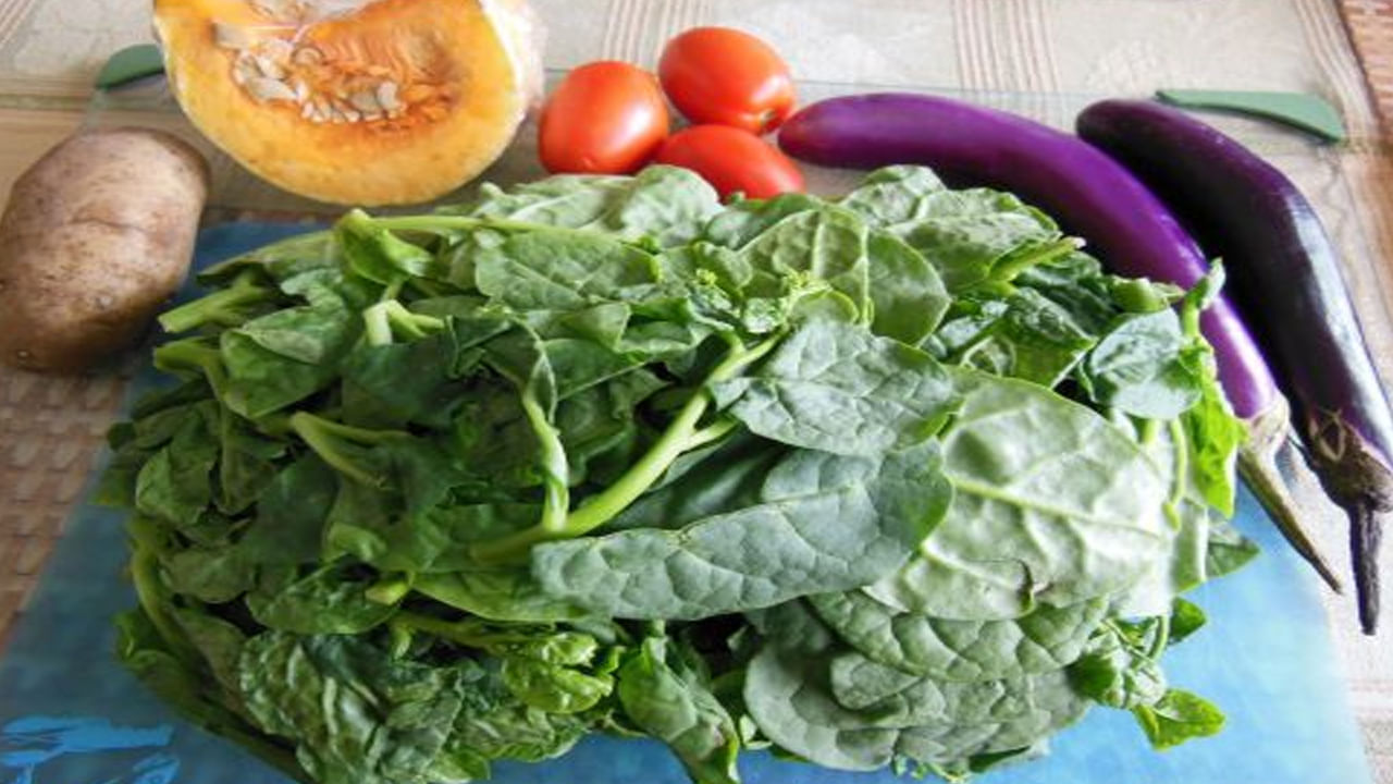 వర్షాకాలంలో ఆకుకూరలు తినకూడదని ఇంట్లో పెద్దలు తరచూ చెబుతుంటారు. వర్షాకాలంలో ఆకు కూరలు తింటే కడుపు నొప్పి, విరేచనాలు అవుతాయని చెబుతుంటారు. అయితే, ఇవన్నీ  అపోహలు మాత్రమే అని పోషకాహార నిపుణులు చెబుతున్నారు. వర్షాకాలంలో ఆకు కూరలు తినకూడదని ఎందుకంటారంటే,..