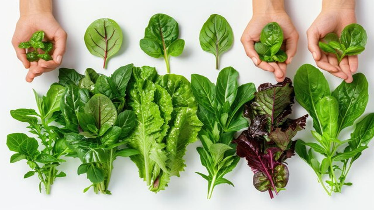 Green Leafy Vegetables 3