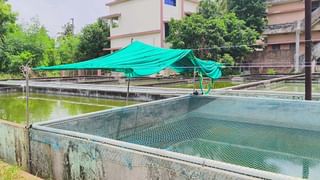 అక్క ఆస్తి కొట్టేసేందుకు తమ్ముడి కంత్రి ప్లాన్‌.. ఏం చేశాడో తెలిస్తే ఫ్యూజులు ఎగిరిపోతాయ్‌!