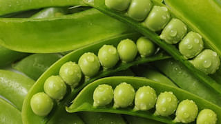 Farmer Success Story: వినూత్న పద్దతిలో వ్యవసాయం.. చెరువే పొలంగా చేసి లాభాలు ఆర్జిస్తున్న యువ రైతు..