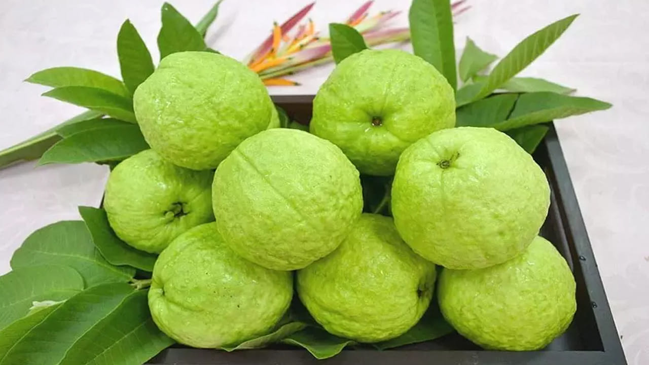 జామకాయలో అధిక ఫైబర్ కంటెంట్ ఉబ్బరం, గ్యాస్, వికారం వంటి సమస్యలను కలిగిస్తుంది. దీనిని ఇరిటబుల్ బవెల్ సిండ్రోమ్ (IBS) అంటారు. జామ గింజలు చిన్నవిగా ఉన్నా ఒక్కోసారి దీని విత్తనాలు ప్రేగులలో చిక్కుకుపోతాయి. ఇది డైవర్టికులిటిస్ రోగులకు ప్రమాదకరం.