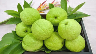 చెబితే నమ్మరుగానీ.. చామదుంపలతో ఆరోగ్య ప్రయోజనాలు తెలిస్తే అసలు వదిలిపెట్టరు..!