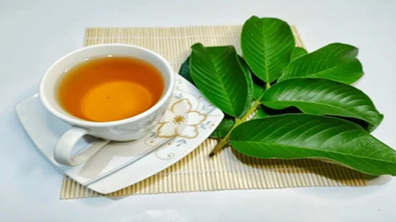 అందరికీ జామకాయ గురించే తెలుసు. కానీ జామ కాయలే కాదండోయ్ జామ ఆకులతో అద్భుతమైన టీని కూడా తయారు చేసుకోవచ్చునంట. జామ ఆకుల టీలో యాంటీ ఆక్సిడెంట్స్, యాంటీ ఇన్ఫ్లమెంటరీ సమ్మేళనాలు , పోషకాలు ఎక్కువగా ఉంటాయి. అంతే కాకుండా క్వెర్సెటిన్ వంటి ఫ్లేవనాయిడ్స్ కూడా సమృద్ధిగా ఉంటాయి. అందువలన ఇది చర్మానికి, ఆరోగ్యానికి చాలా మంచిదంట.