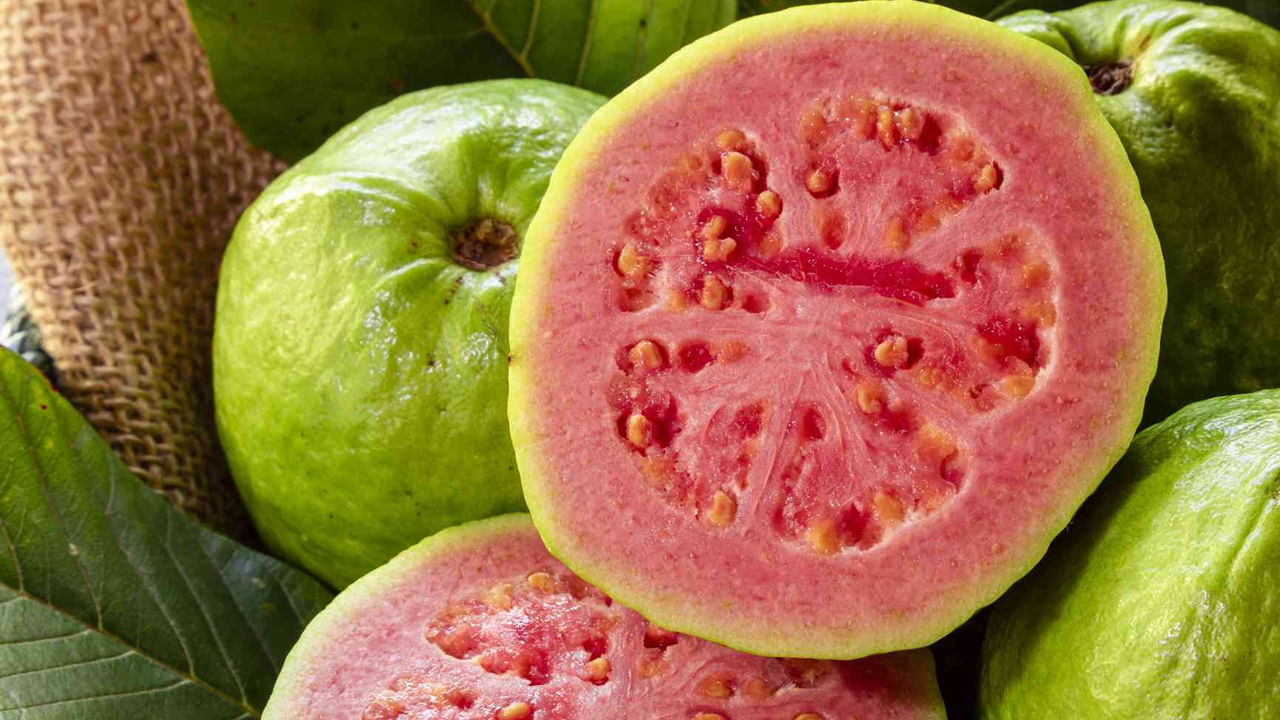 జామ గింజలను సరిగ్గా నమలకుండా తింటే, అవి జీర్ణం కావడం కష్టమవుతుంది. దీంతో మలబద్ధకం సమస్య మరింత తీవ్రమవుతుంది. ఇప్పటికే జీర్ణ సమస్యలు ఉన్నవారు జామ పండ్లు పరిమితంగా తీసుకోవడం మంచిది. విత్తనాలను తొలగించకుండా వీరు అస్సలు తినకూడదు.