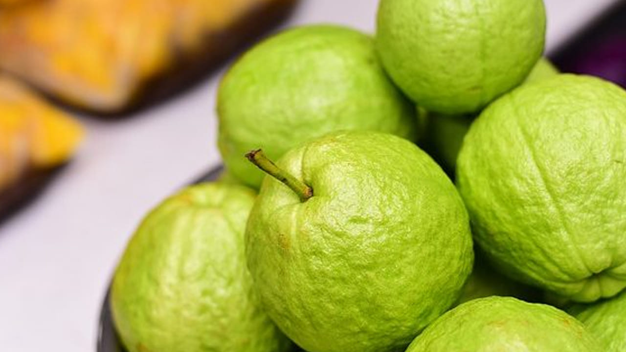 జామకాయలో ఫైబర్ అధికంగా ఉంటుంది. 12 శాతంఫైబర్ జామ పండులోనే దొరుకుతుంది. అందువలన జీర్ణ సమస్యలతో బాధపడే వారు ప్రతి రోజూ ఒక జామ పండు తినడం వలన ఇది మలబద్ధకాన్ని తగ్గించి, పేగులలో మంచి బ్యాక్టీరియాను ప్రోత్సహించడమే కాకుండా హానికర బ్యాక్టీరియాలను తగ్గిస్తుందంట. అలాగే, కడుపు సంబంధిత సమస్యల నుంచి కూడా ఉపశమనం కలిగిస్తుందంట.