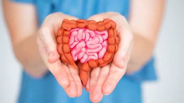 Gut Health: మీ గట్ ను ఆరోగ్యంగా ఉంచే 3 అద్భుతమైన సీడ్స్ ఇవే..!