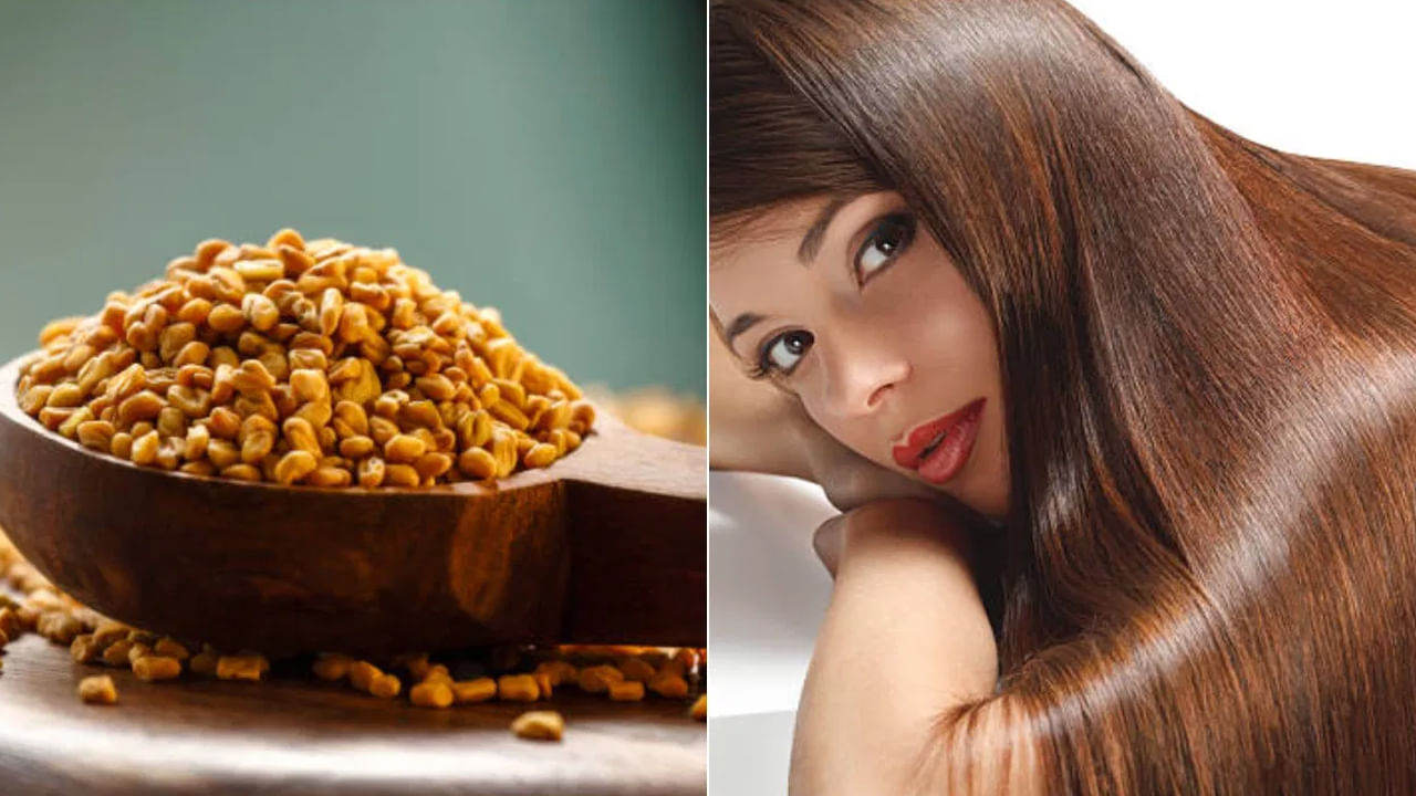 మెంతులు, పెరుగు హెయిర్ ప్యాక్: మెరిసే, బలమైన జుట్టుకు మెరిసే పెరుగు అద్భుతంగా పనిచేస్తుంది. మెంతులు జుట్టు మూలాలను పోషిస్తాయి. పెరుగు వాటిని తేమ చేస్తుంది. రెండింటినీ కలిపి హెయిర్ ప్యాక్ తయారు చేసి వారానికి ఒకసారి అప్లై చేయండి.