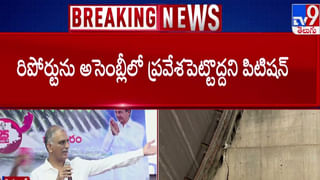 Bullet Train: ఏపీలో బుల్లెట్‌ రైలు పరుగులు