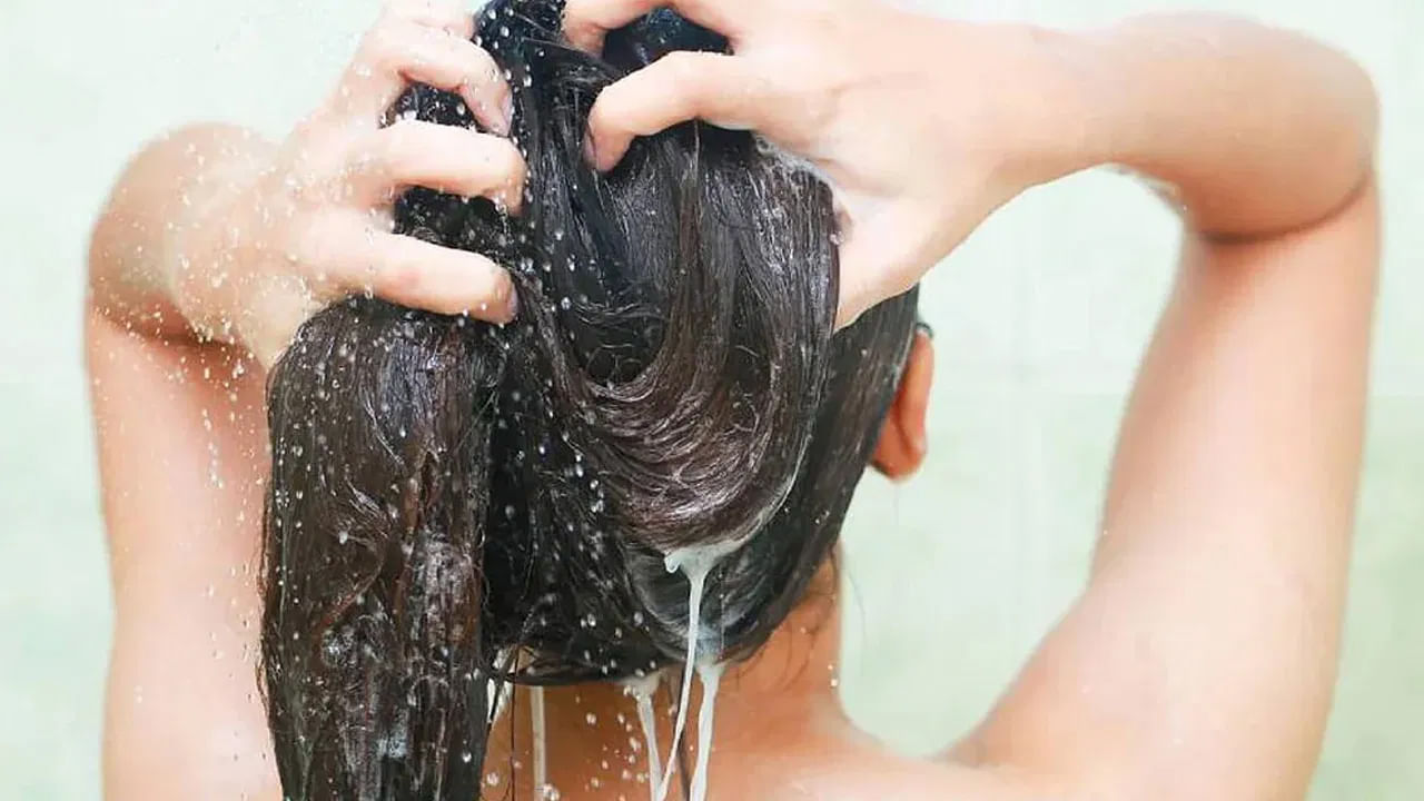 ప్రతి స్త్రీ తన జుట్టు ఒత్తుగా, మెరిసేలా, మృదువుగా, ఆరోగ్యంగా ఉండాలని కోరుకుంటుంది. పురుషులు కూడా తమ జుట్టు గురించి చాలా శ్రద్ధ వహిస్తారు. అయితే ప్రస్తుత కాలంలో జుట్టు రాలే సమస్య అందరిలోనూ కనిపిస్తోంది. దీనికి పరిష్కారంగా ఖరీదైన నూనెలు, షాంపూలు, కండిషనర్లు, నివారణలు, DIY హక్స్, చికిత్సలు వచ్చాయి. జుట్టు రాలడం, సహజ మృదుత్వం కోల్పోవడం, జుట్టు రాలడం వంటి జుట్టు సమస్యలు సరైన ఆహారం లేకపోవడం వల్ల పోషకాలు లేకపోవడం, సరైన జుట్టు సంరక్షణ లేకపోవడం వల్ల సంభవించవచ్చు. 