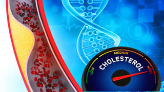 మొలకెత్తిన వెల్లులి పడేస్తున్నారా.? మీ నస్టపోయినట్టే..