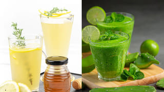 Moringa seeds: మునగ గింజలలో దాగున్న ఆరోగ్య రహస్యాలు తెలిస్తే..అస్సలు విడిచిపెట్టరు..