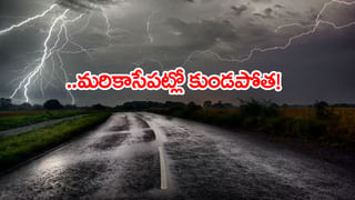 మాయమవుతున్న వృక్షం.. అడిగేవాళ్లు లేరనా.. నరికినా ఎవరూ పట్టించుకోరనా..?