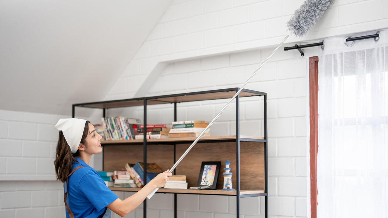 Home Cleaning5