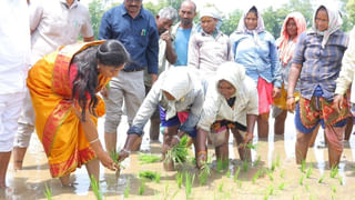 Visakhapatnam: ఆ చెట్టుకు బొట్టు పెట్టి.. హారతి పట్టి.. రాఖీ కట్టారు.. ఎందుకో తెలుసా..?