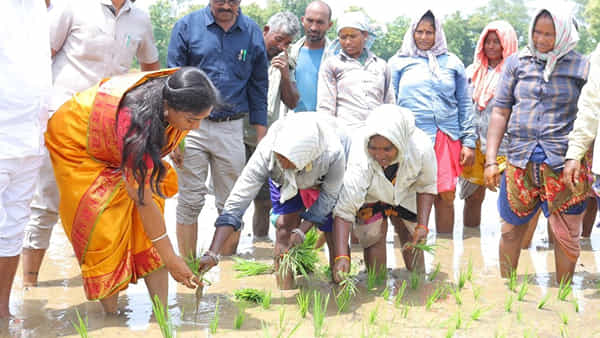 Andhra: ఎవరో కాదండోయ్.. మన మంత్రి గారే.. హోదాను పక్కనపెట్టి రైతులా మారారు.. వీడియో వైరల్
