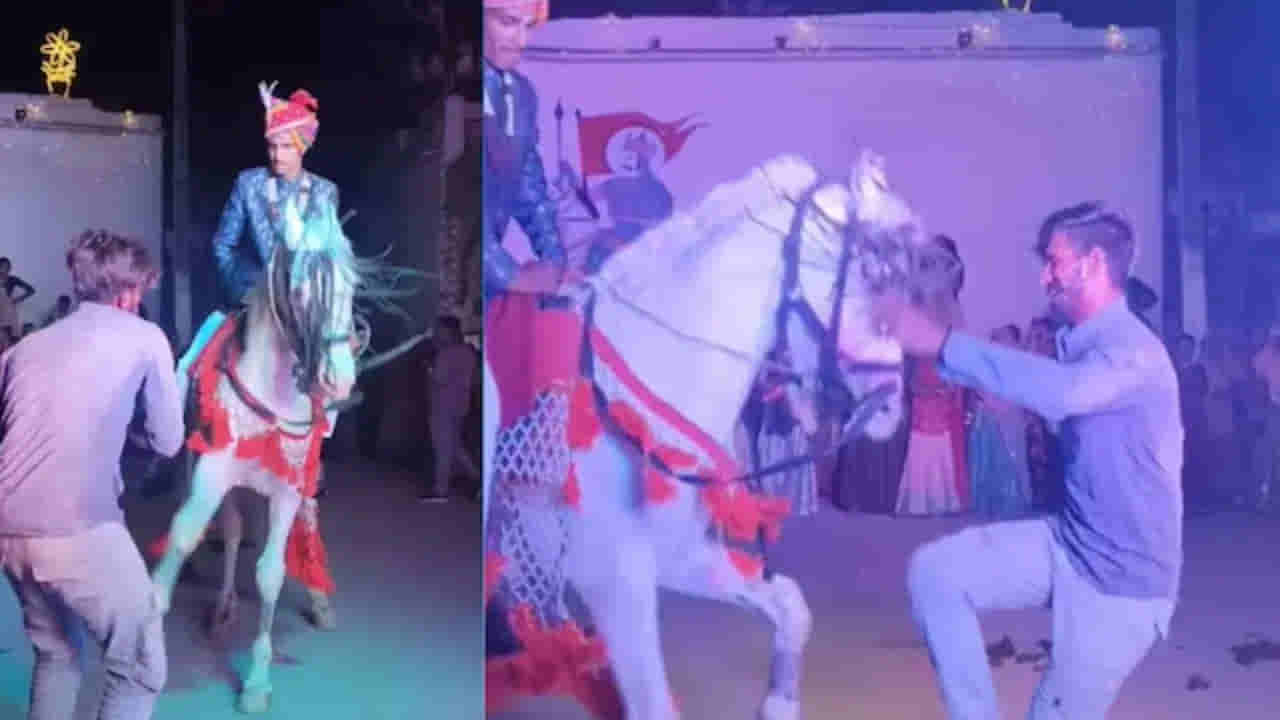 Viral Video: పెళ్లి ఊరేగింపులో వరుడిని మోస్తూ బ్రేక్డ్యాన్స్ ఇరగదీసిందిగా... గుర్రానికి అర్థమయ్యే గా లాంగ్వేజ్ ఏందో జర చెప్పరాదె!