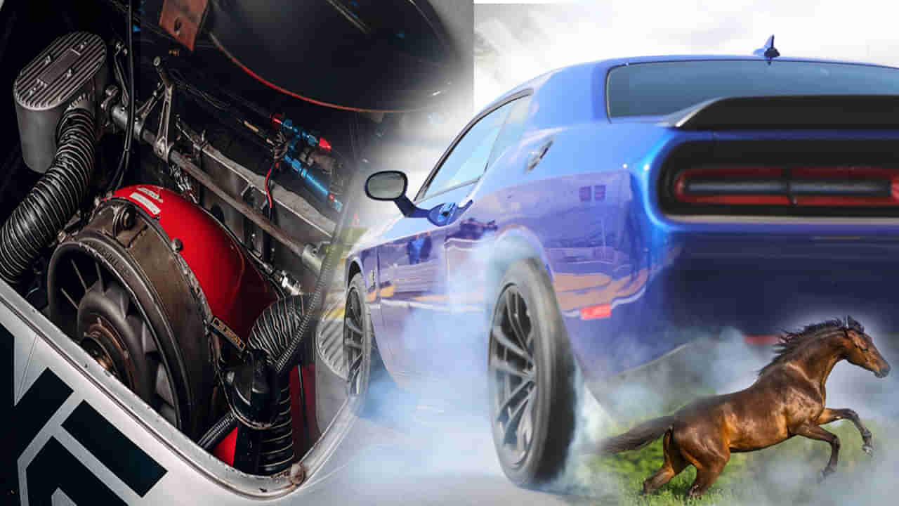 Horse Power: వాహనాలలో హార్స్‌ పవర్‌ అంటే ఏంటి? ఈ పదాన్ని గుర్రాలతో ఎందుకు పోల్చారు.. ఆసక్తికర అంశాలు!