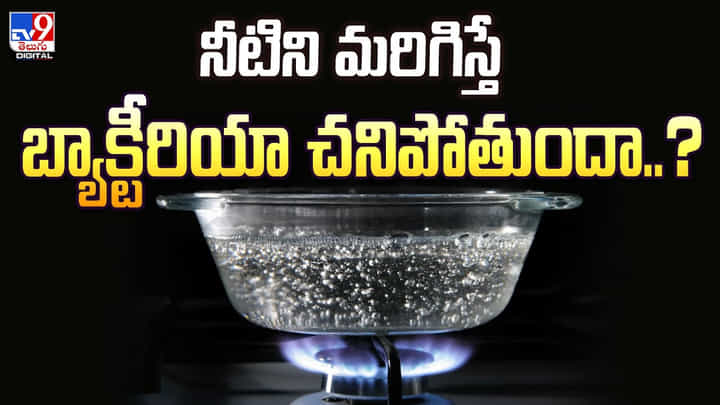 నీటిని మరిగిస్తే బ్యాక్టీరియా చనిపోతుందా..? అధ్యయనంలో ఆశ్చర్యపోయే నిజాలు నీటిని మరిగిస్తే బ్యాక్టీరియా చనిపోతుందా..? అధ్యయనంలో ఆశ్చర్యపోయే నిజాలు