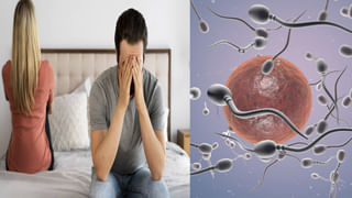 తెలుగు రాష్ట్రాల్లో విజృంభిస్తున్న డెంగ్యూ జ్వరాలు.. ఈ జాగ్రత్తలు పాటించకపోతే ముప్పే!