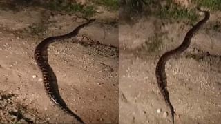 Telangana: జోరుగా దూసుకెళ్తున్న బొలేరో వాహనం.. అధికారులు ఆపి చెక్ చేయగా