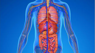 ఆకలి తీర్చుకుంటున్న ఒంటెని వేధించిన ఆకతాయిలు.. ఉగ్ర రూపం చూపించిన ఎడారి ఓడ.. వీడియో వైరల్