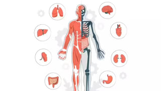 కలబంద వాడే ముందు జాగ్రత్త.. ఈ లక్షణాలు ఉంటే అస్సలు వాడకూడదు..!