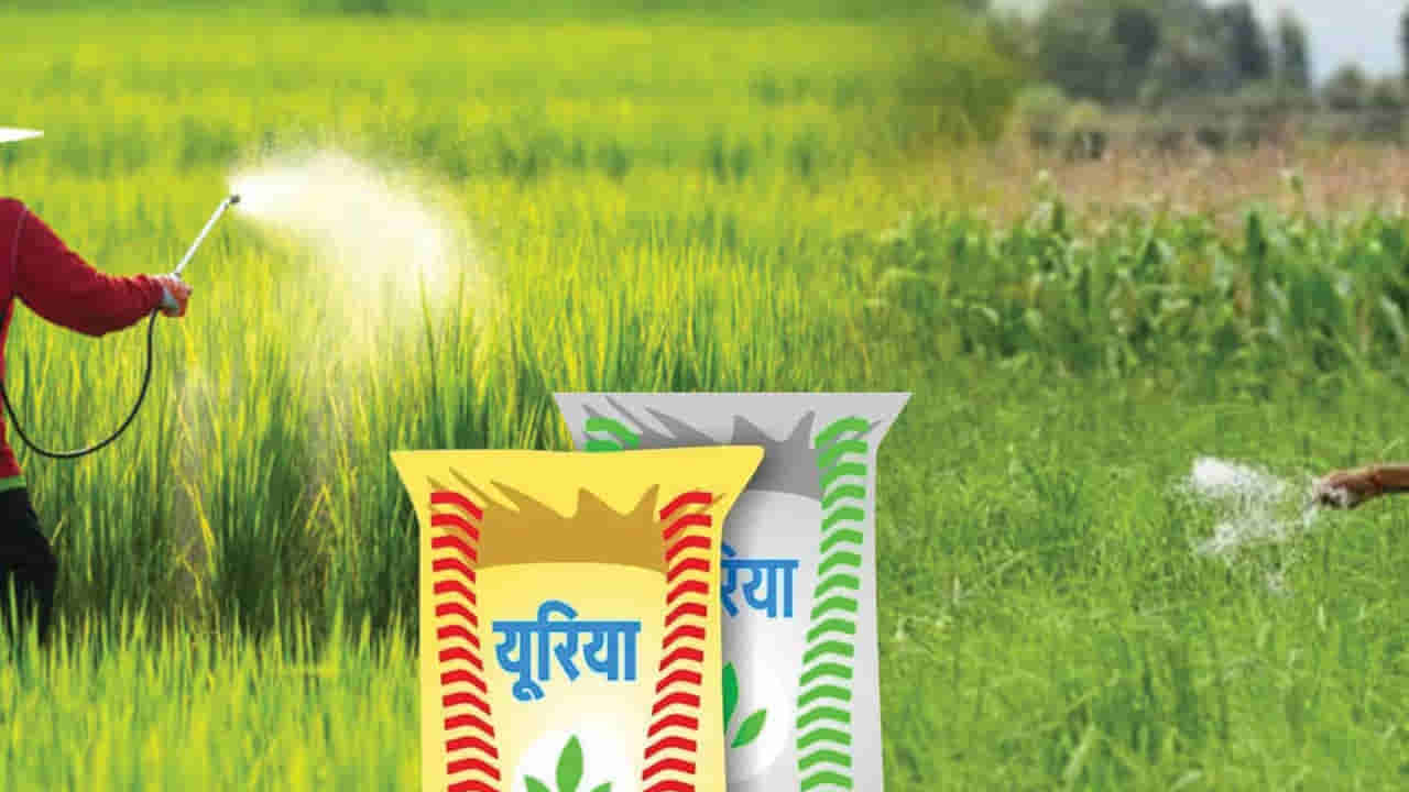 రైతులకు గుడ్ న్యూస్.. భారత్ - చీనీ భాయి భాయి.. ఇక ఆ సమస్యలు తీరినట్లే..