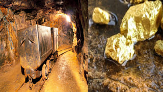 అత్తను చంపి 19 ముక్కలుగా చేసిన డాక్టర్‌ అల్లుడు.. ఎక్కడంటే?